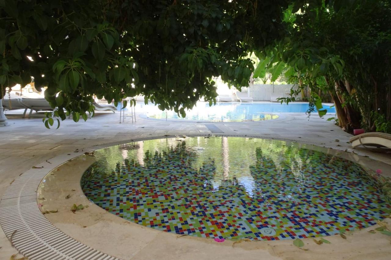 איסמלר Petunya Konak Boutique Hotel מראה חיצוני תמונה